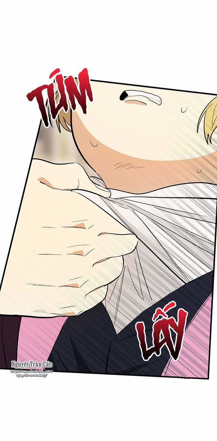 Nữ Đầu Bếp Hoàng Gia Chapter 30 trang 41