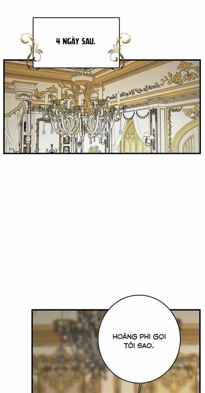 Nữ Đầu Bếp Hoàng Gia Chapter 45 trang 31