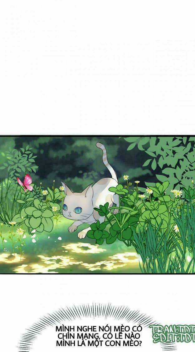 Nữ Đế Trọng Sinh Chapter 8.2 trang 24