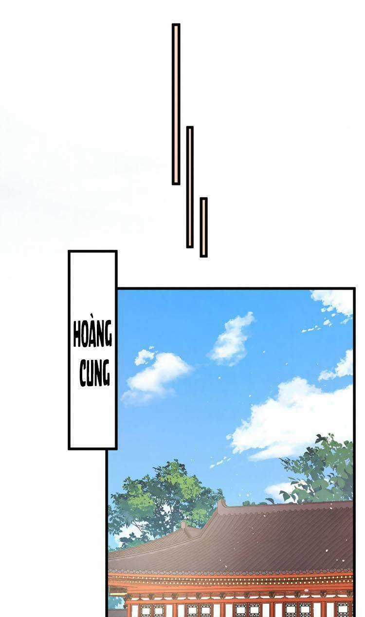 Nữ Đế Và Dàn Hậu Cung Siêu Phẩm Chapter 14 trang 19