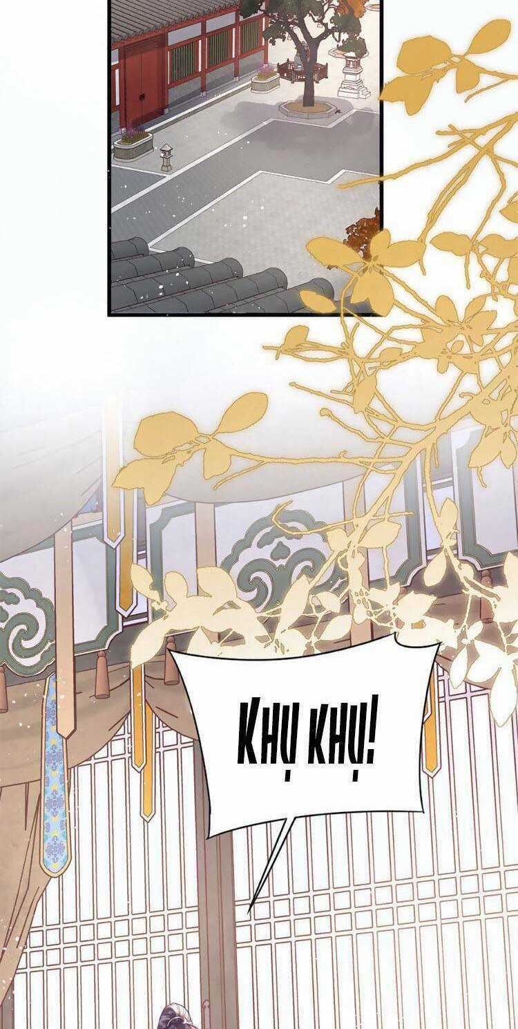 Nữ Đế Và Dàn Hậu Cung Siêu Phẩm Chapter 15 trang 15