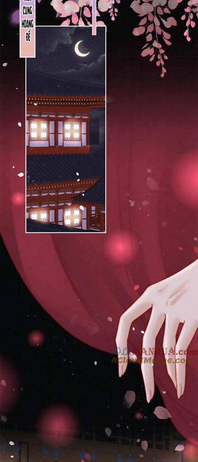 Nữ Đế Và Dàn Hậu Cung Siêu Phẩm Chapter 19 trang 19