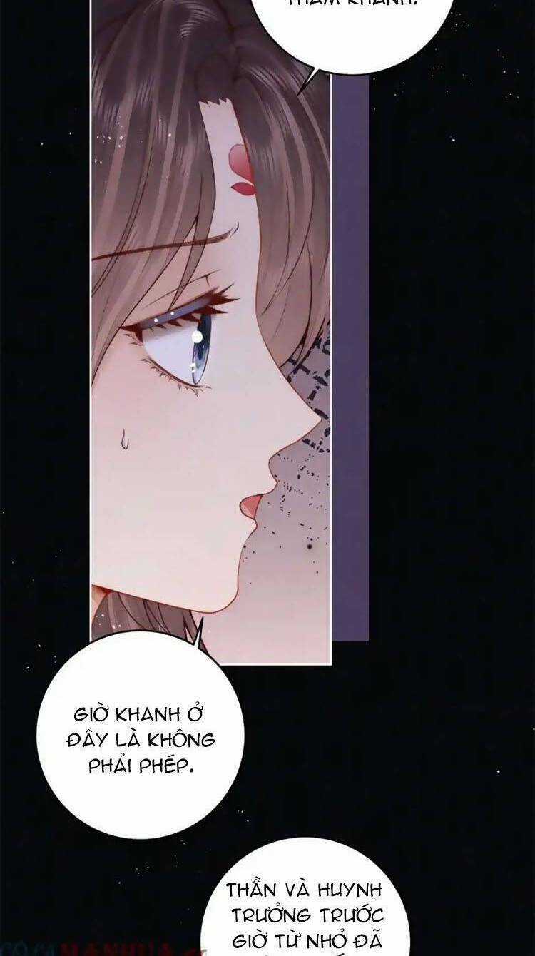 Nữ Đế Và Dàn Hậu Cung Siêu Phẩm Chapter 29 trang 41