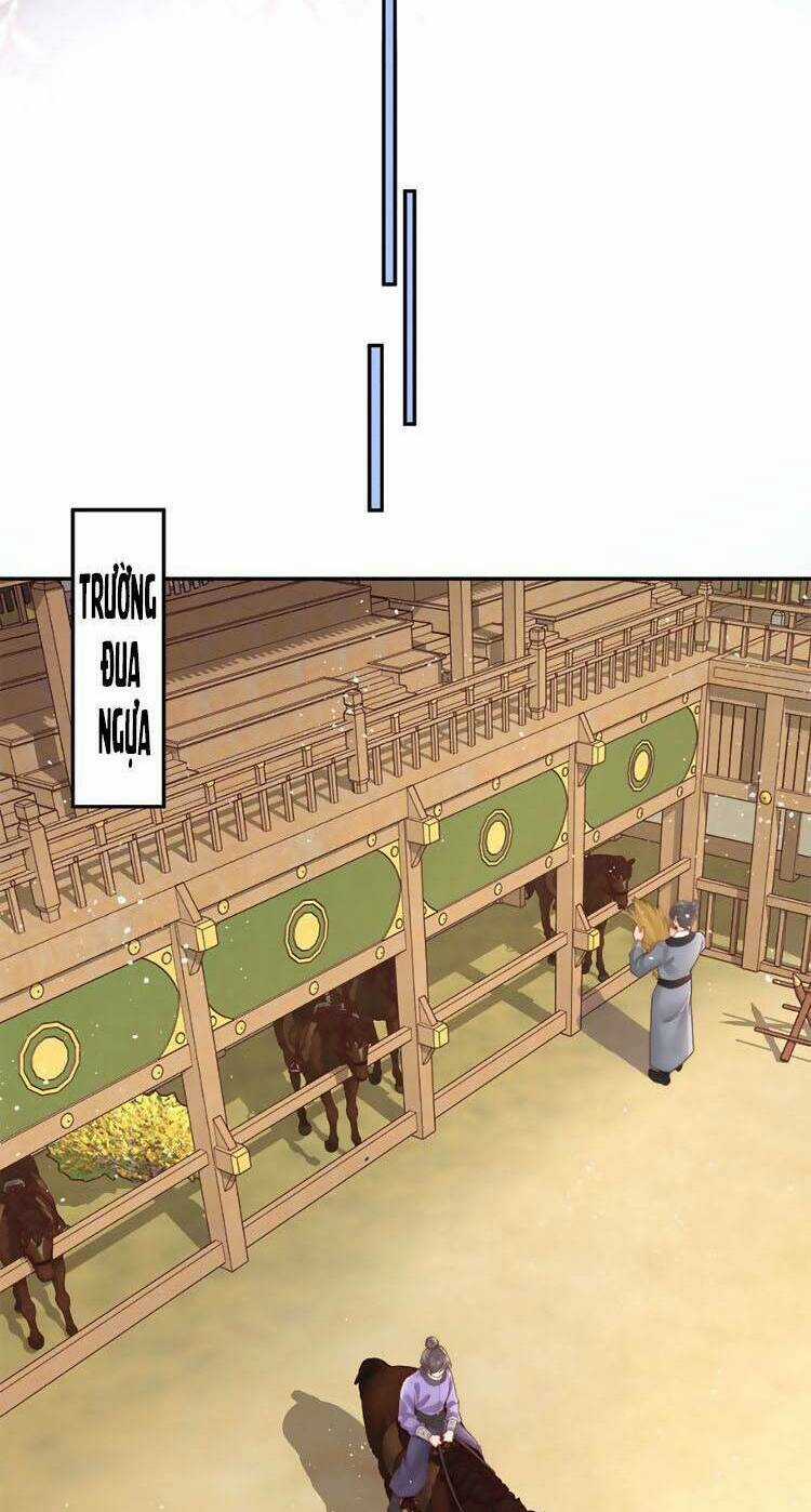 Nữ Đế Và Dàn Hậu Cung Siêu Phẩm Chapter 5 trang 20