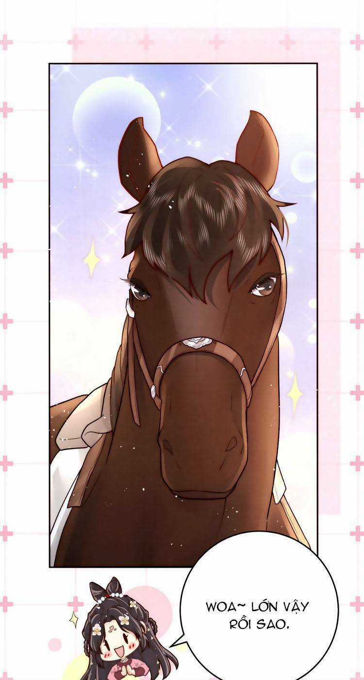 Nữ Đế Và Dàn Hậu Cung Siêu Phẩm Chapter 5 trang 29