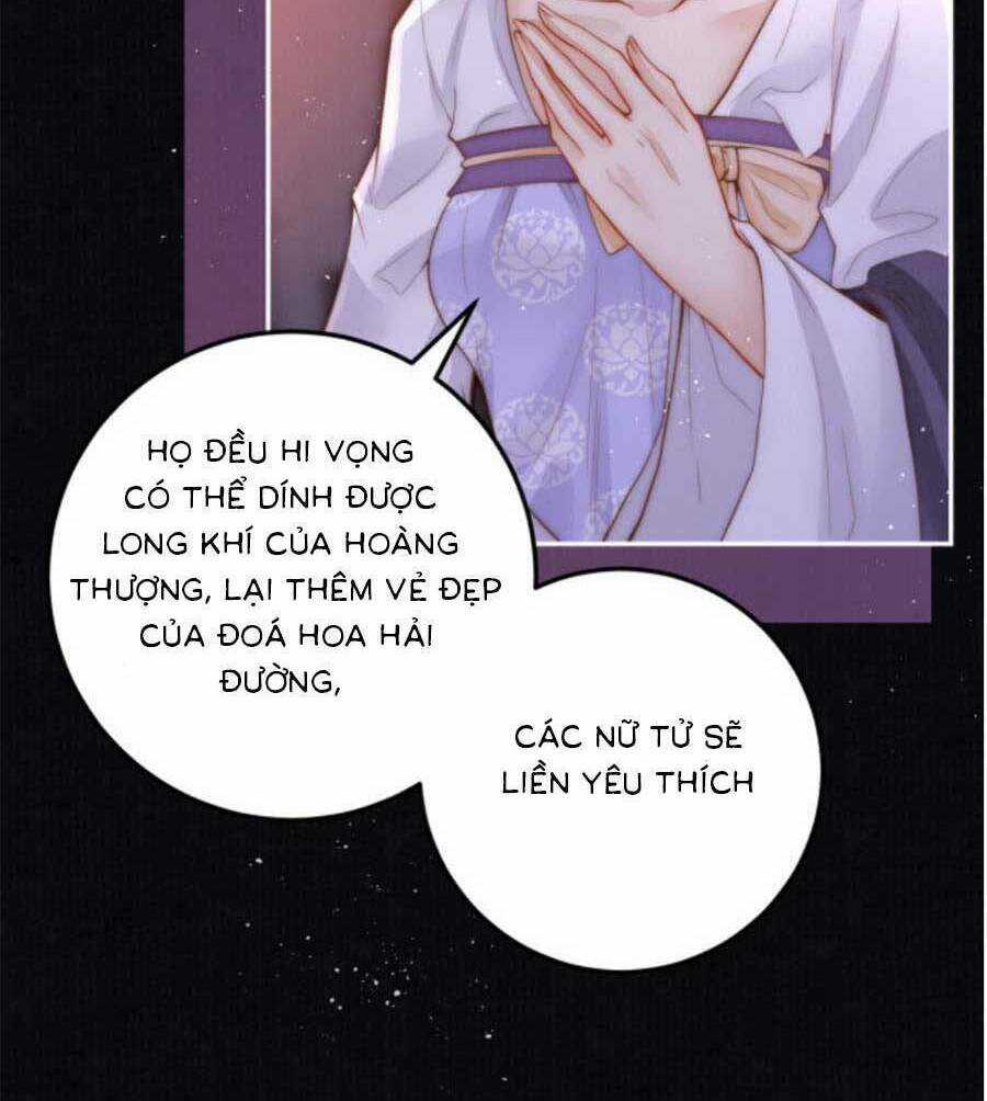 Nữ Đế Và Dàn Hậu Cung Siêu Phẩm Chapter 9 trang 51