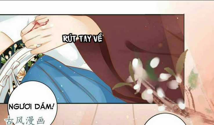 Nữ Đương Gia Sương Dã Trại Chapter 22 trang 5