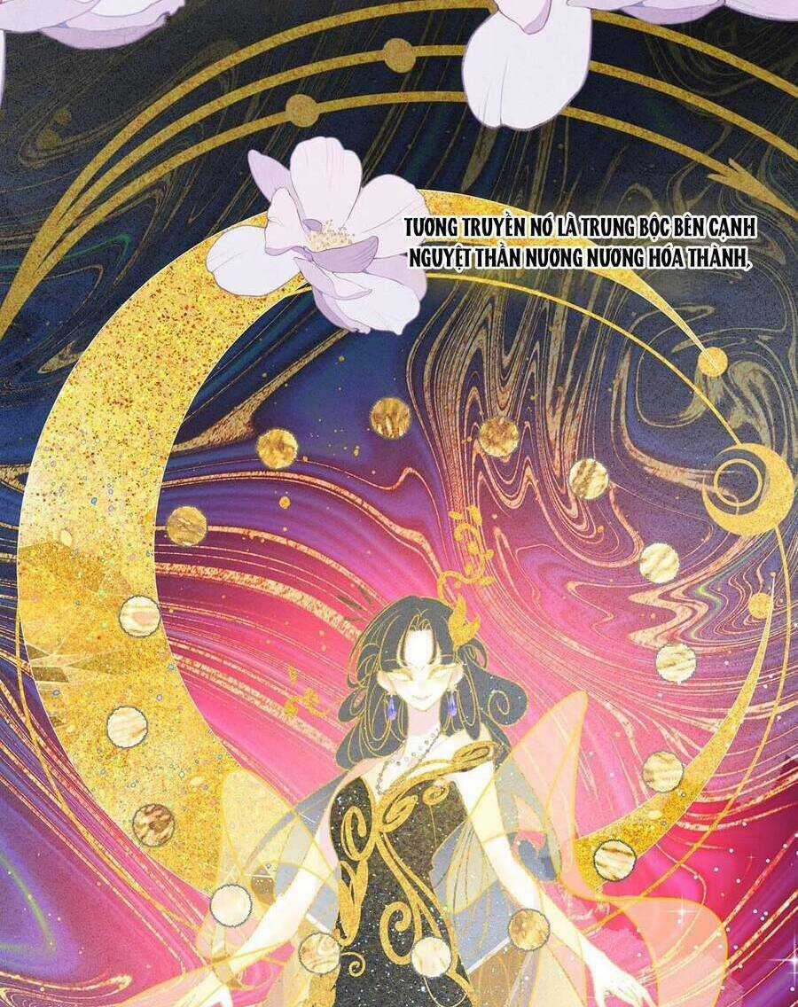 Nữ Giả Hoàng Thượng Và Màn Công Lược Gian Thần Bất Đắc Dĩ Chapter 30 trang 19