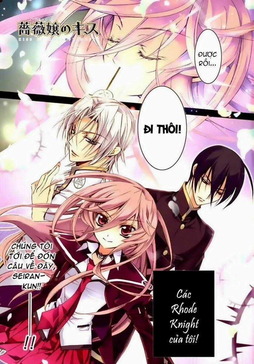Nụ Hôn Của Công Chúa Tường Vi Chapter 11 trang 0