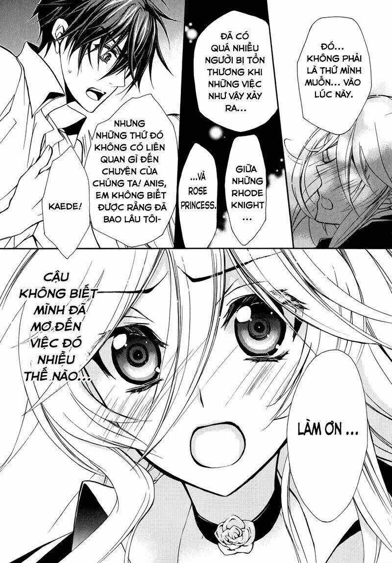 Nụ Hôn Của Công Chúa Tường Vi Chapter 38 trang 15