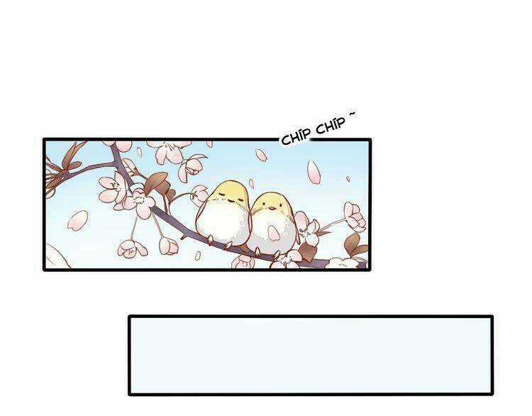 Nụ Hôn Hắc Vũ Chapter 10 trang 23