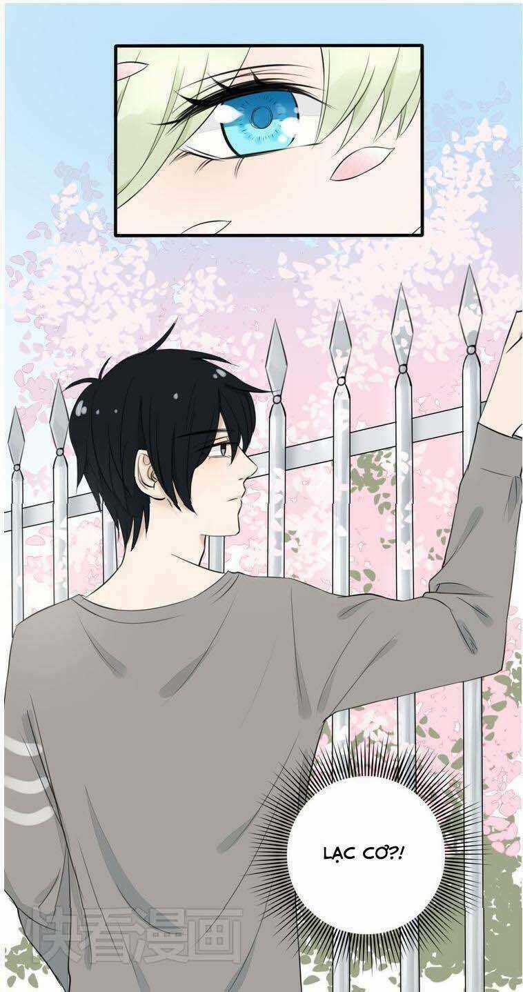 Nụ Hôn Hắc Vũ Chapter 10 trang 40