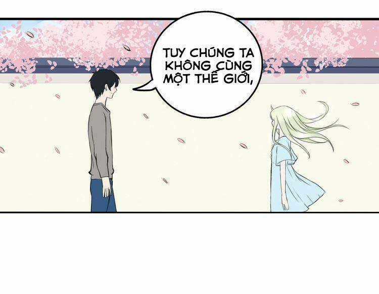 Nụ Hôn Hắc Vũ Chapter 10 trang 44