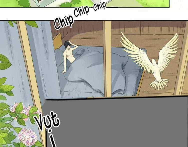 Nụ Hôn Hắc Vũ Chapter 2 trang 9