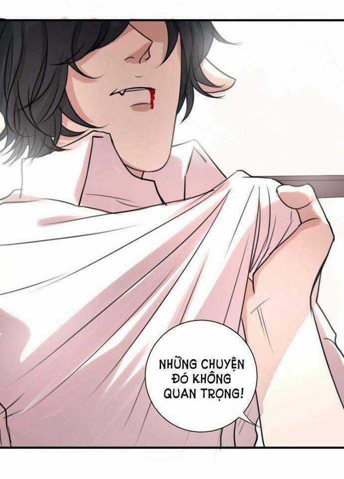 Nụ Hôn Hắc Vũ Chapter 20 trang 15