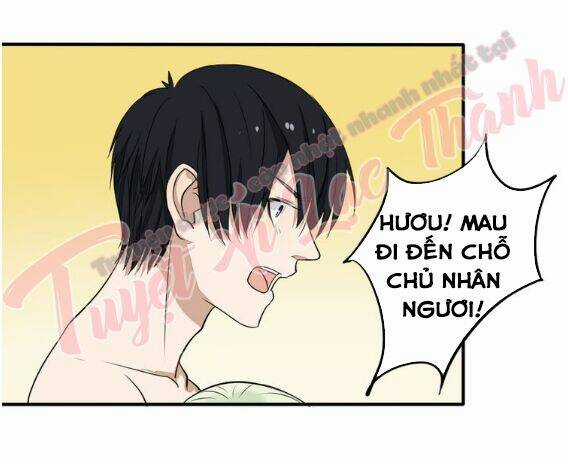 Nụ Hôn Hắc Vũ Chapter 28 trang 34