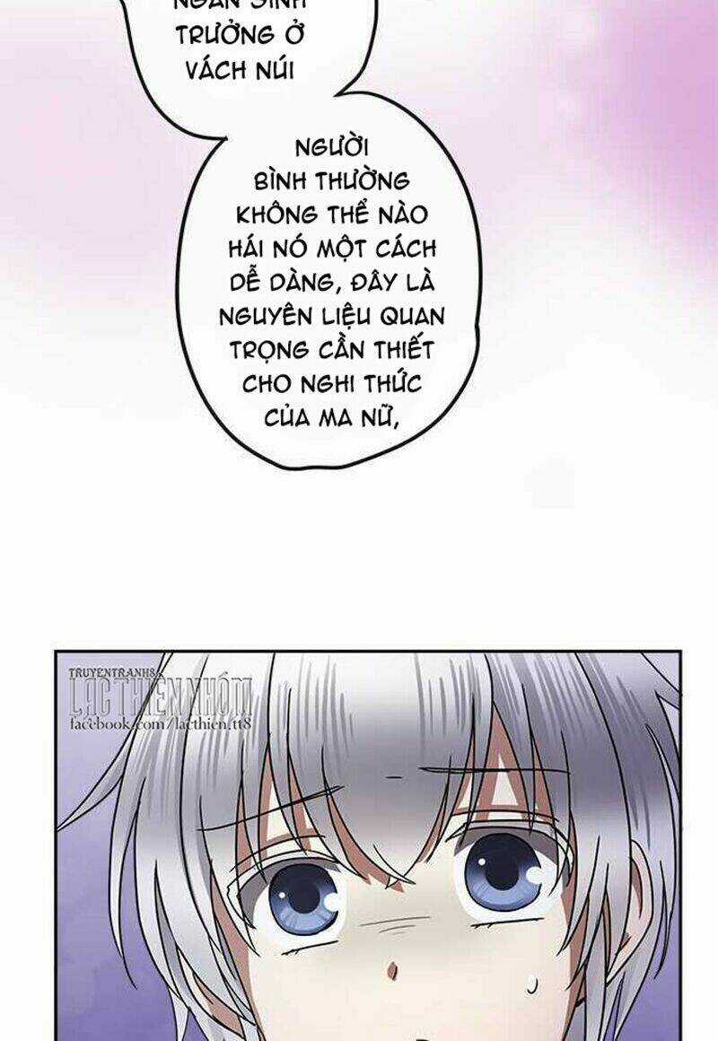 Nụ Hôn Nguyền Rủa Chapter 104 trang 39