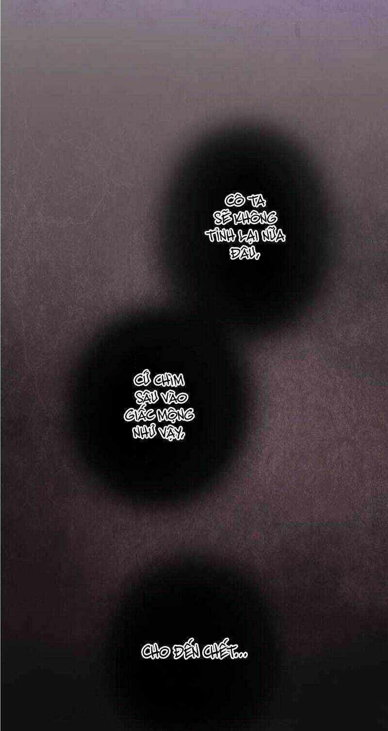 Nụ Hôn Nguyền Rủa Chapter 109 trang 24