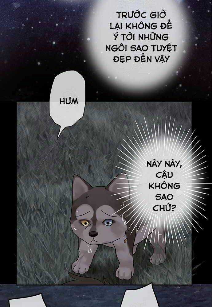 Nụ Hôn Nguyền Rủa Chapter 27 trang 35