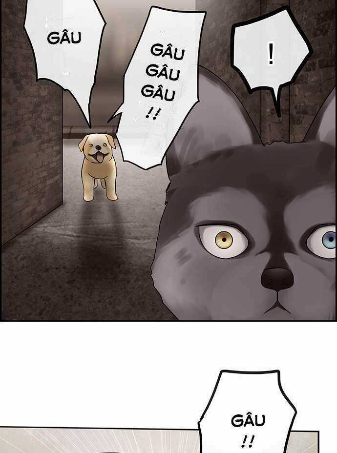 Nụ Hôn Nguyền Rủa Chapter 28 trang 16