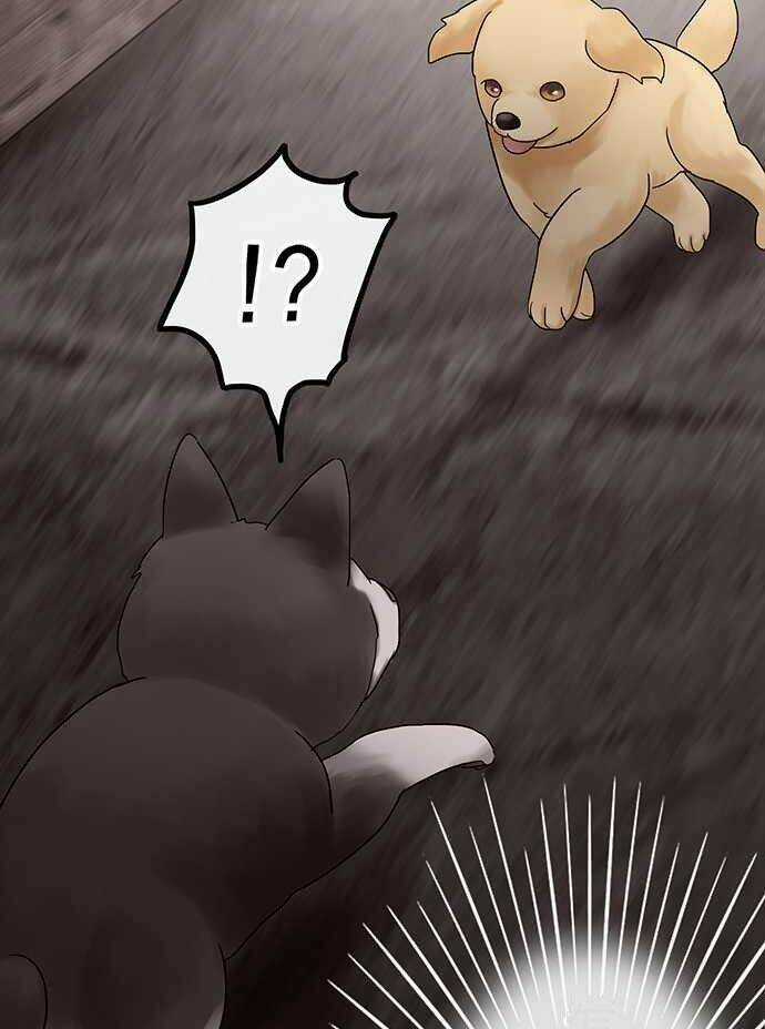 Nụ Hôn Nguyền Rủa Chapter 28 trang 21