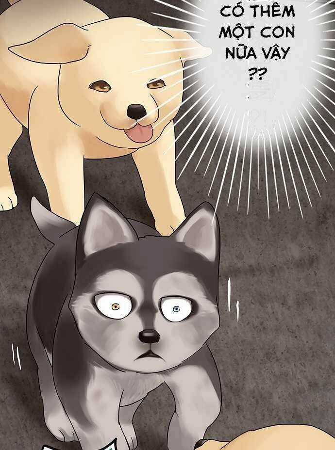 Nụ Hôn Nguyền Rủa Chapter 28 trang 22