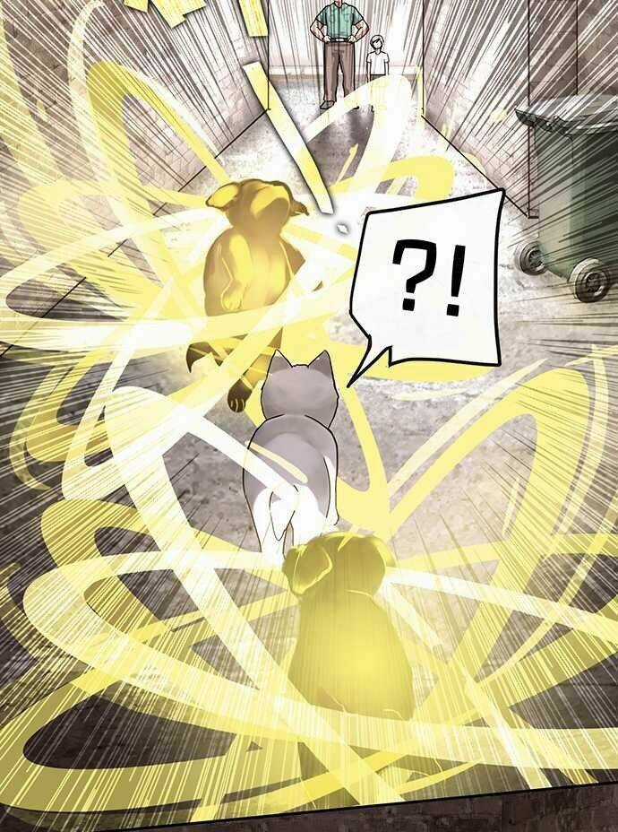 Nụ Hôn Nguyền Rủa Chapter 28 trang 26