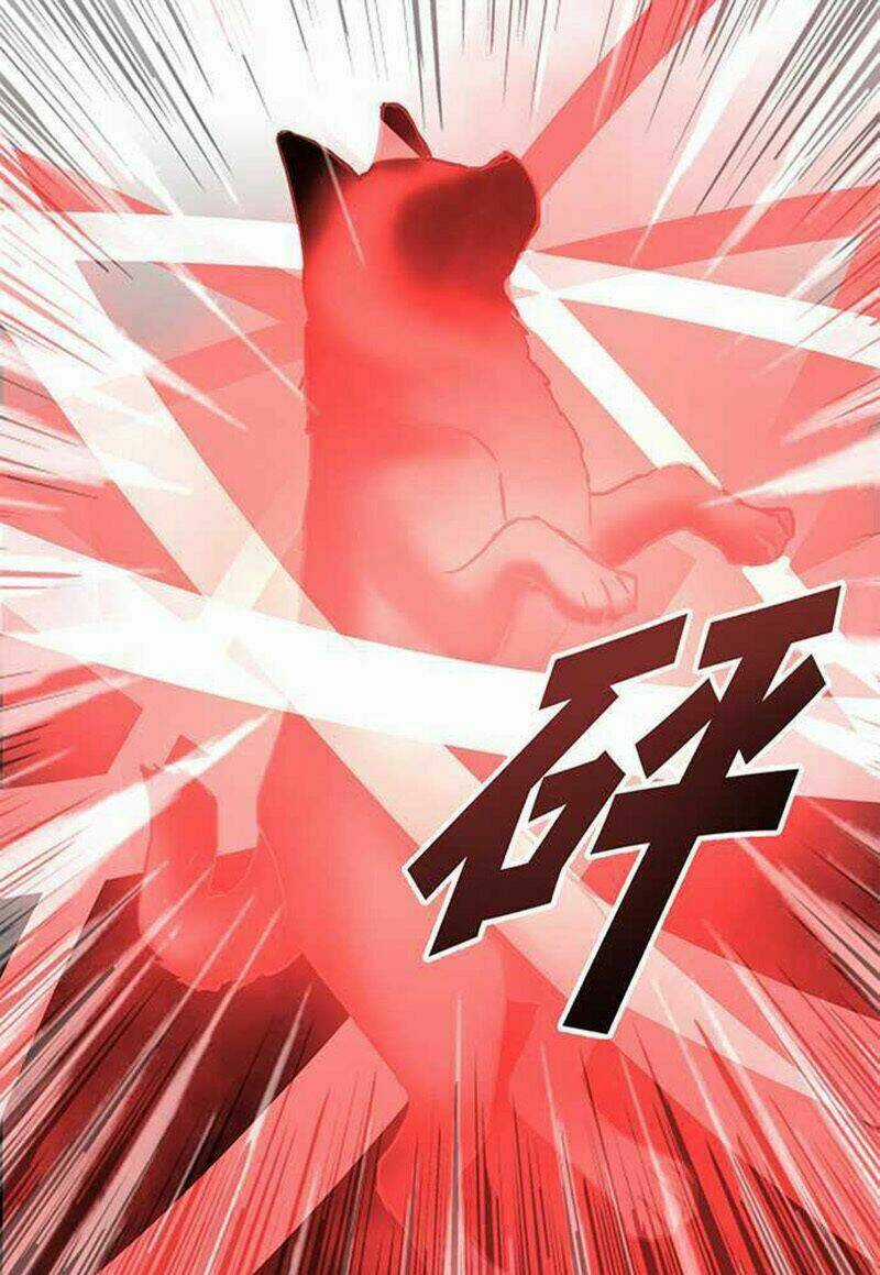 Nụ Hôn Nguyền Rủa Chapter 95 trang 5