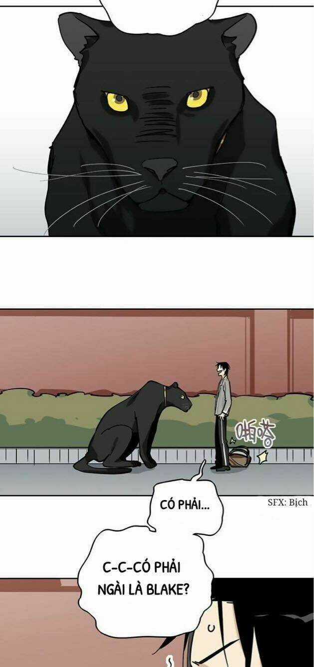 Nữ Nhân Tôi Thích Là Quái Kiệt! Chapter 9 trang 19