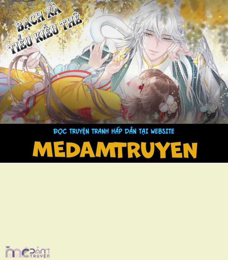 Nữ Phụ Không Muốn Nam Nữ Chính Chia Tay Chapter 19 trang 2