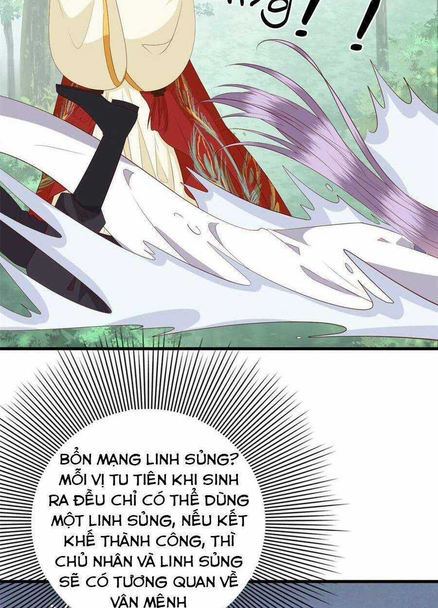 Nữ Phụ Không Thể Chọc Giận Chapter 102 trang 22