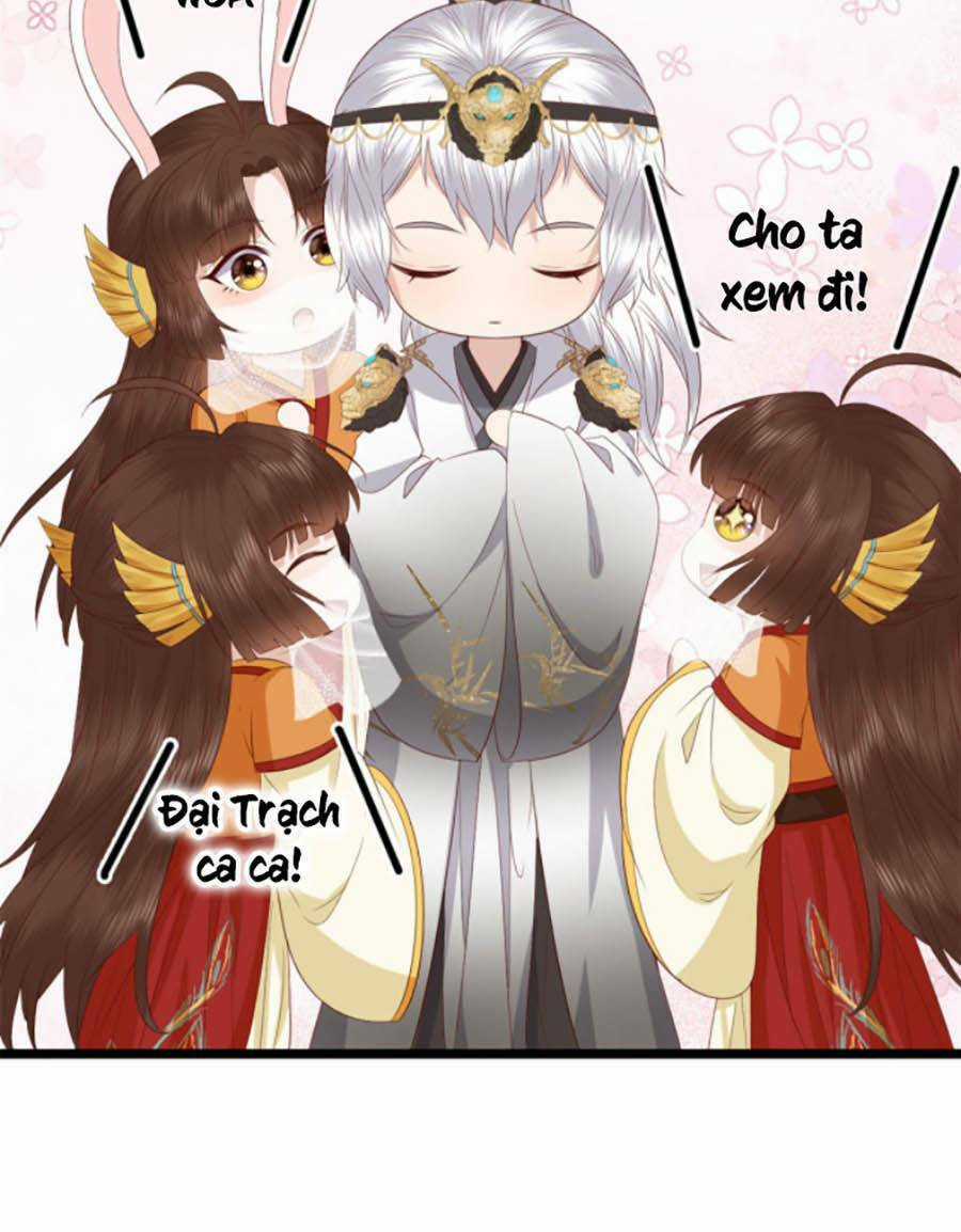 Nữ Phụ Không Thể Chọc Giận Chapter 11 trang 31