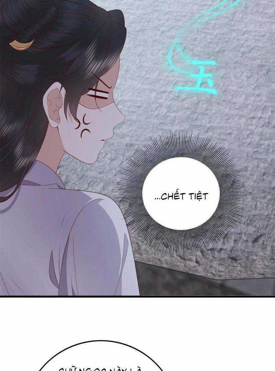 Nữ Phụ Không Thể Chọc Giận Chapter 111 trang 25