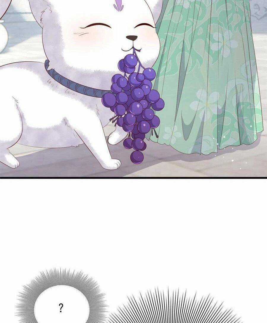 Nữ Phụ Không Thể Chọc Giận Chapter 111 trang 37