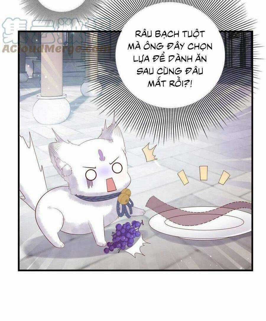 Nữ Phụ Không Thể Chọc Giận Chapter 111 trang 38