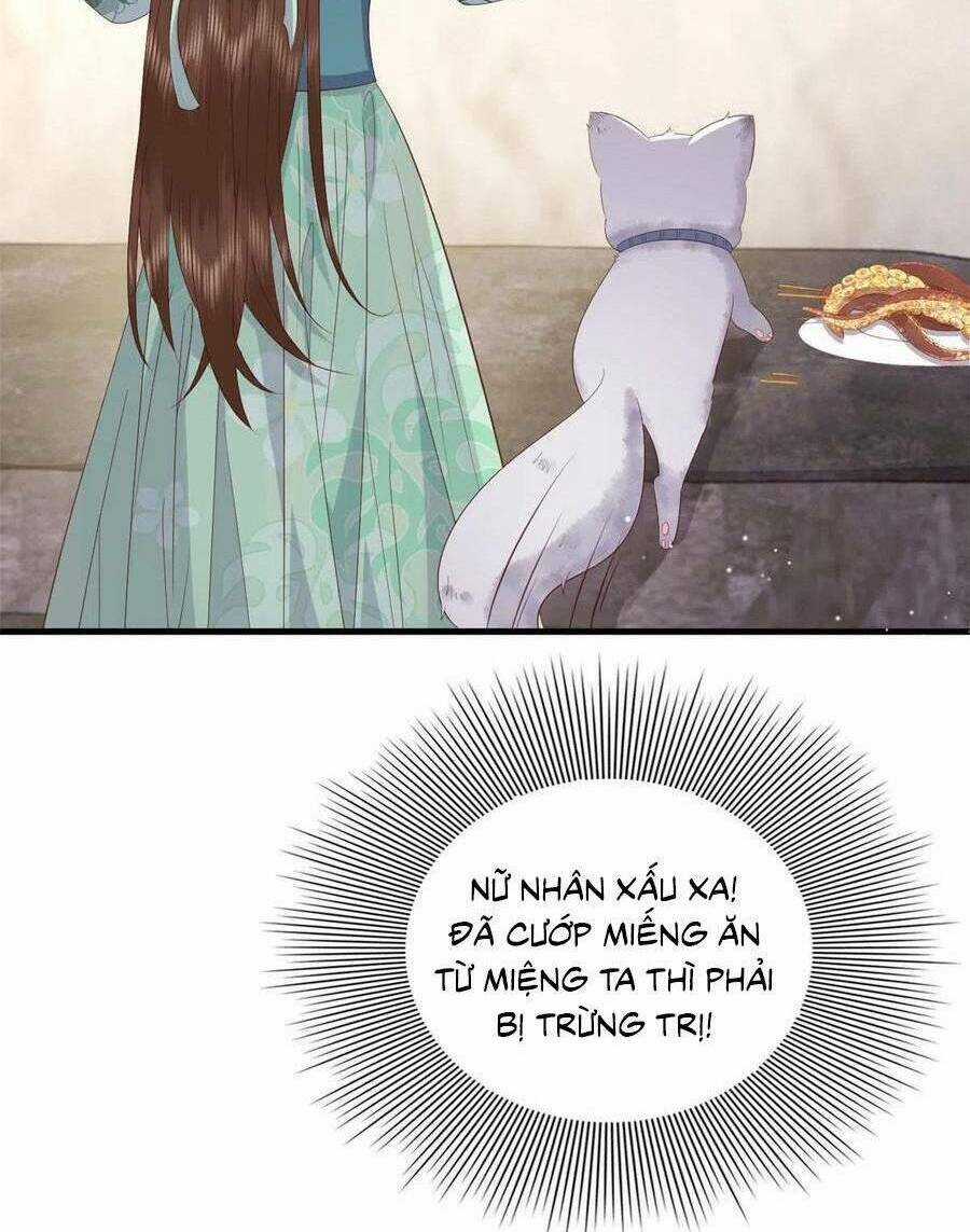 Nữ Phụ Không Thể Chọc Giận Chapter 111 trang 42