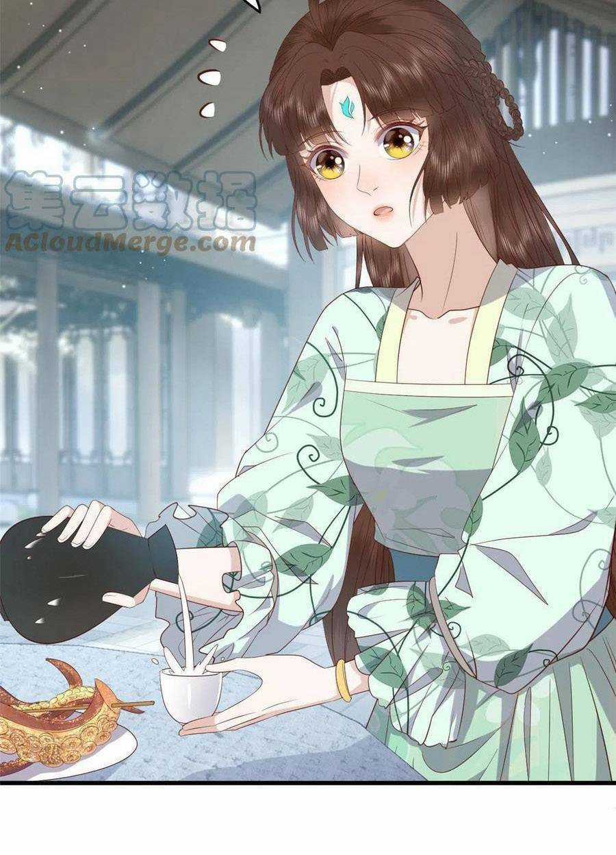 Nữ Phụ Không Thể Chọc Giận Chapter 112 trang 6