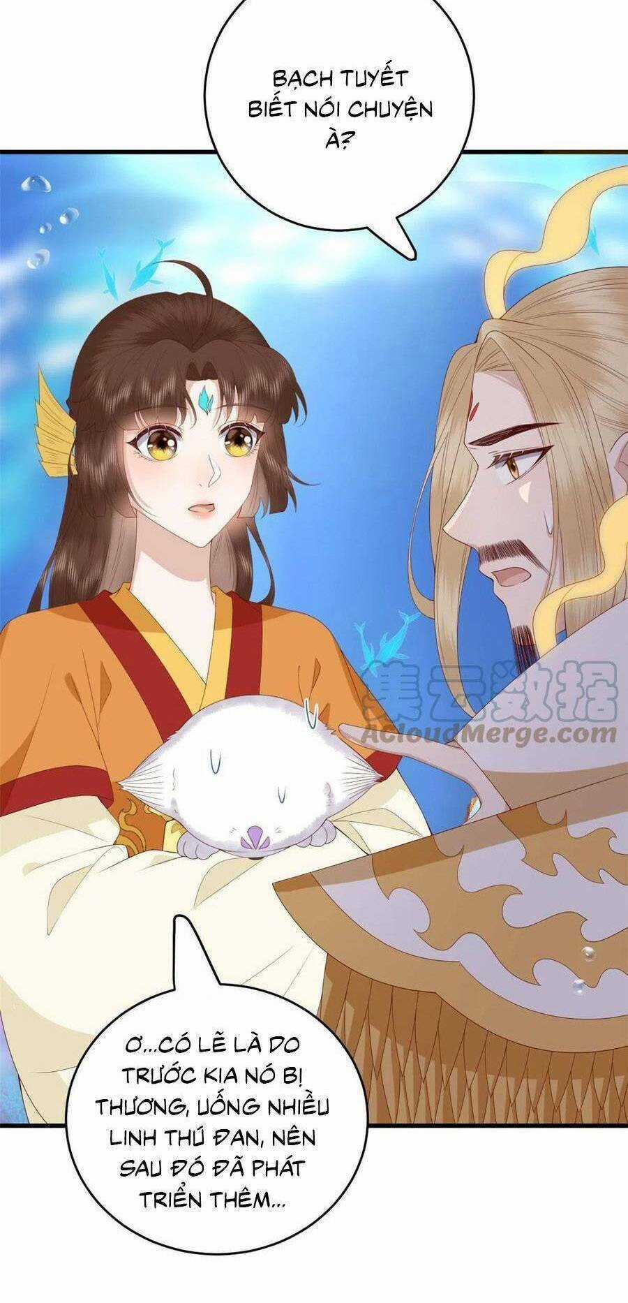 Nữ Phụ Không Thể Chọc Giận Chapter 118 trang 24