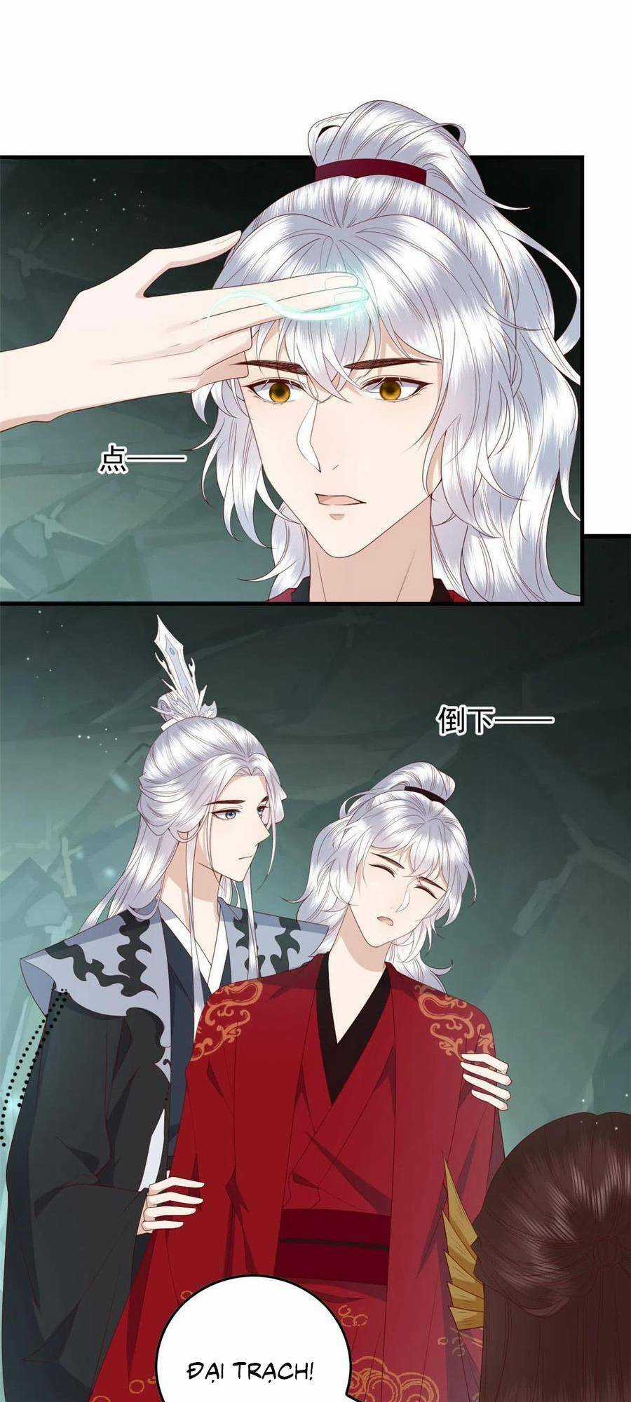 Nữ Phụ Không Thể Chọc Giận Chapter 122 trang 5