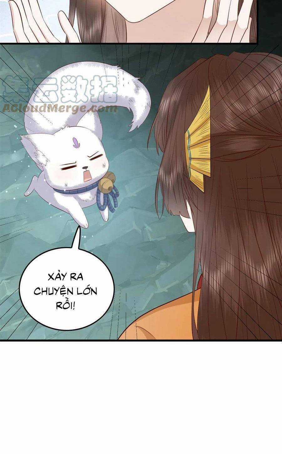 Nữ Phụ Không Thể Chọc Giận Chapter 125 trang 21