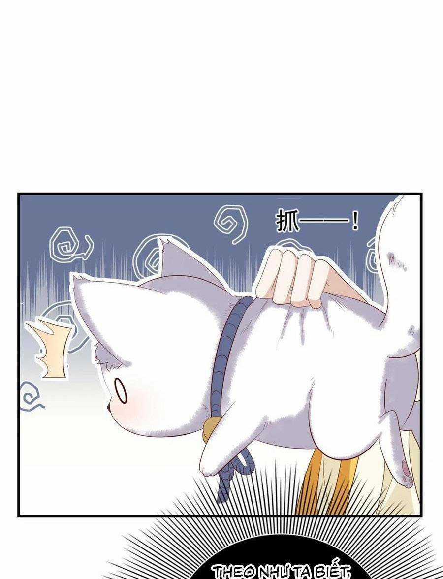 Nữ Phụ Không Thể Chọc Giận Chapter 127 trang 3