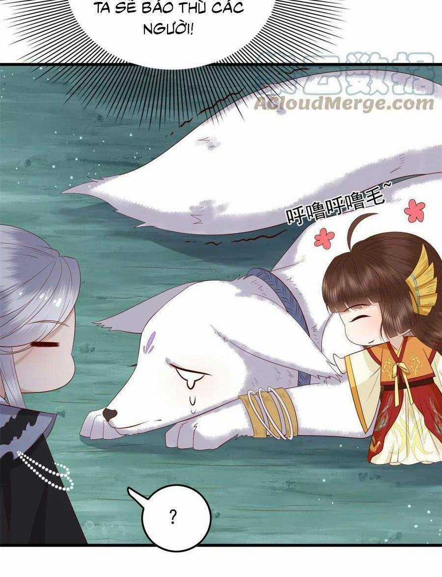 Nữ Phụ Không Thể Chọc Giận Chapter 127 trang 6