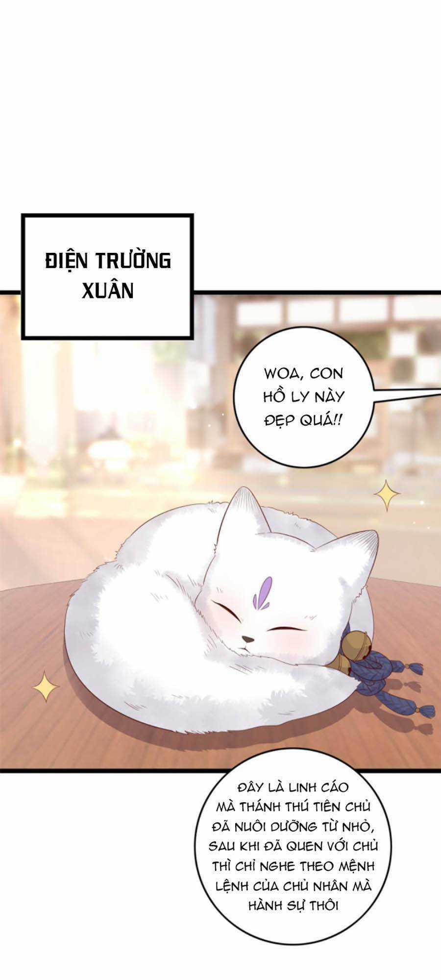 Nữ Phụ Không Thể Chọc Giận Chapter 13 trang 13