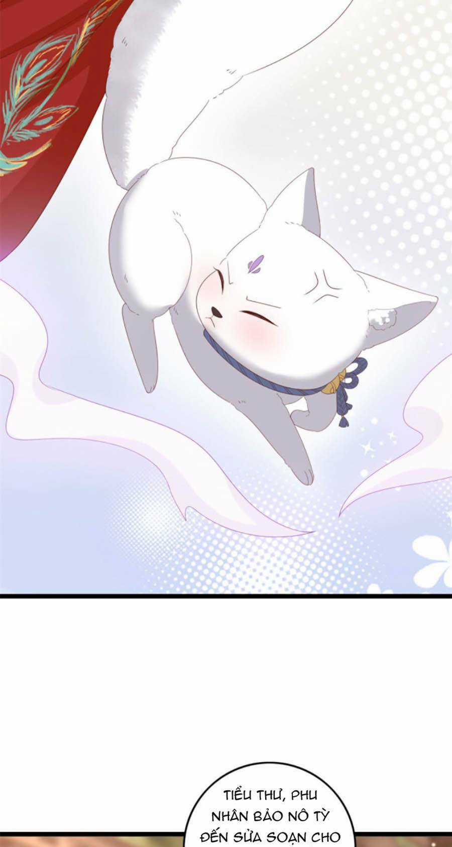 Nữ Phụ Không Thể Chọc Giận Chapter 14 trang 13