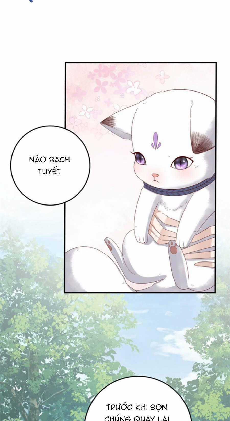 Nữ Phụ Không Thể Chọc Giận Chapter 17 trang 27