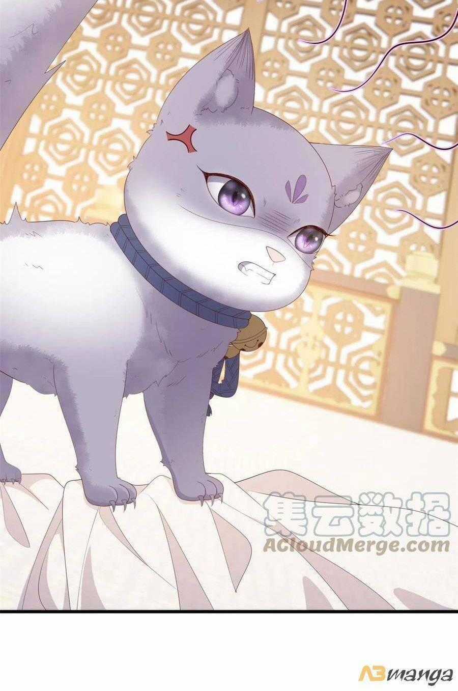 Nữ Phụ Không Thể Chọc Giận Chapter 89 trang 41