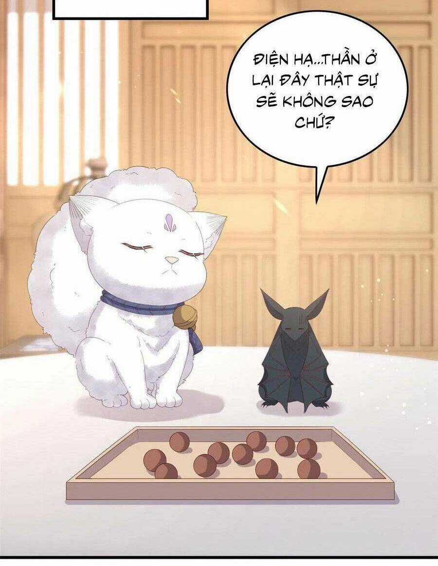 Nữ Phụ Không Thể Chọc Giận Chapter 95 trang 10