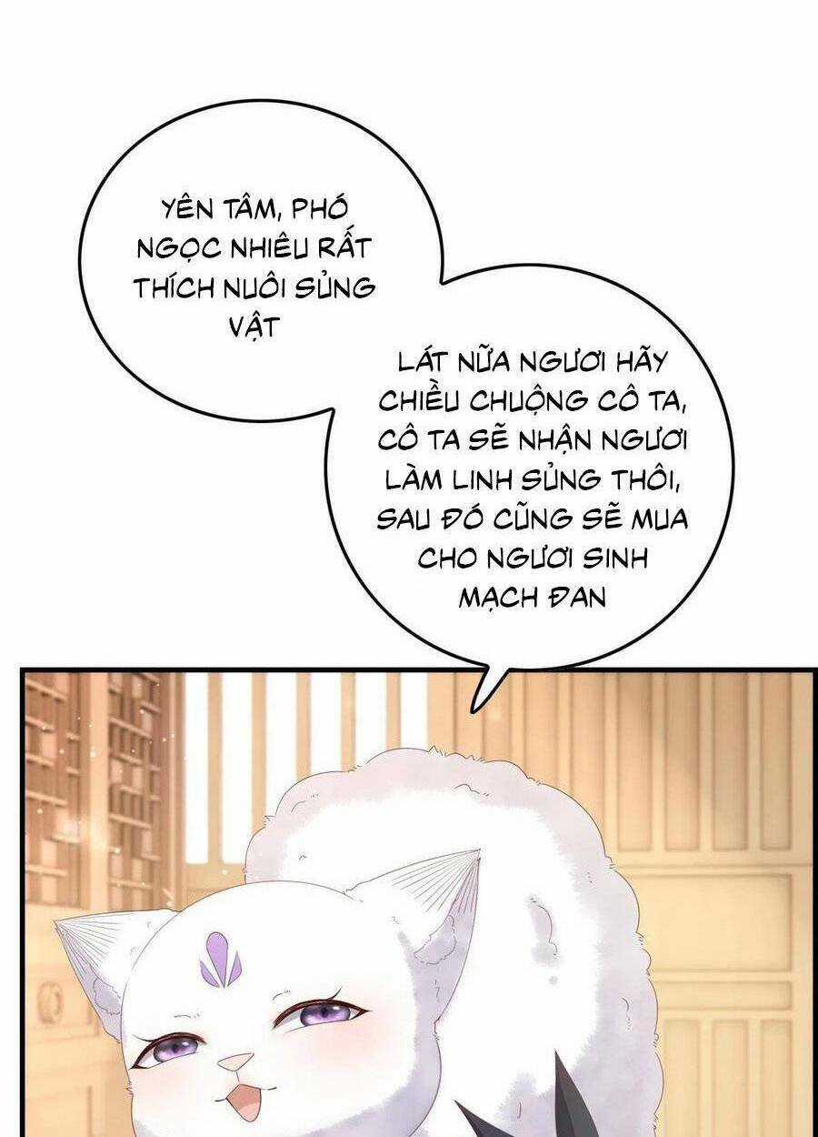 Nữ Phụ Không Thể Chọc Giận Chapter 95 trang 13