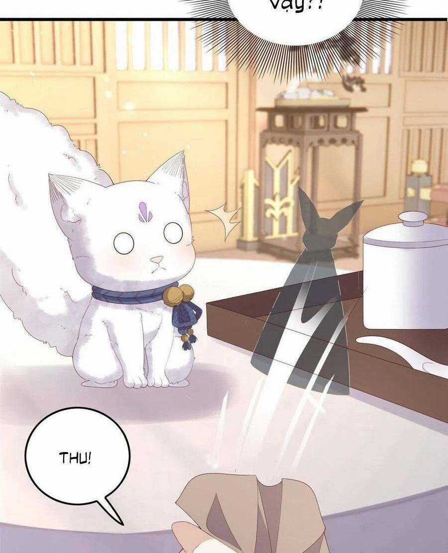 Nữ Phụ Không Thể Chọc Giận Chapter 95 trang 23