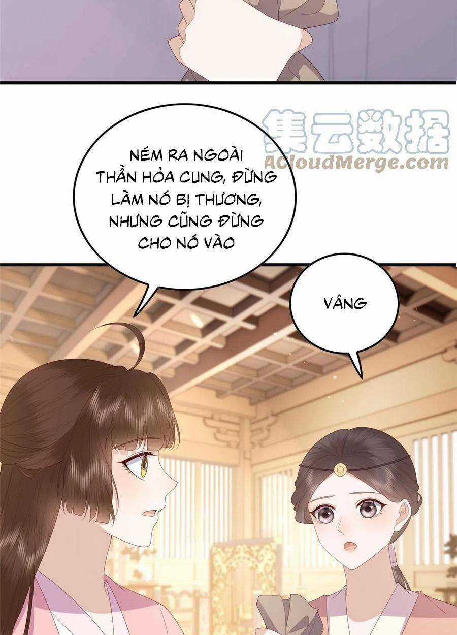 Nữ Phụ Không Thể Chọc Giận Chapter 95 trang 24